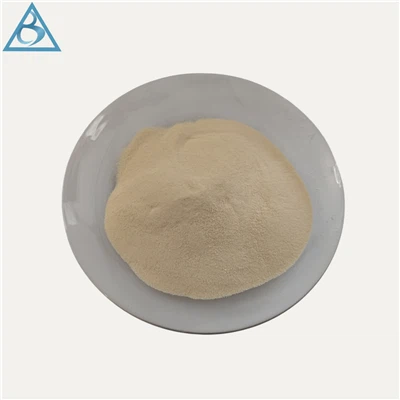 Superplasticizer Polycarboxylate Bridge